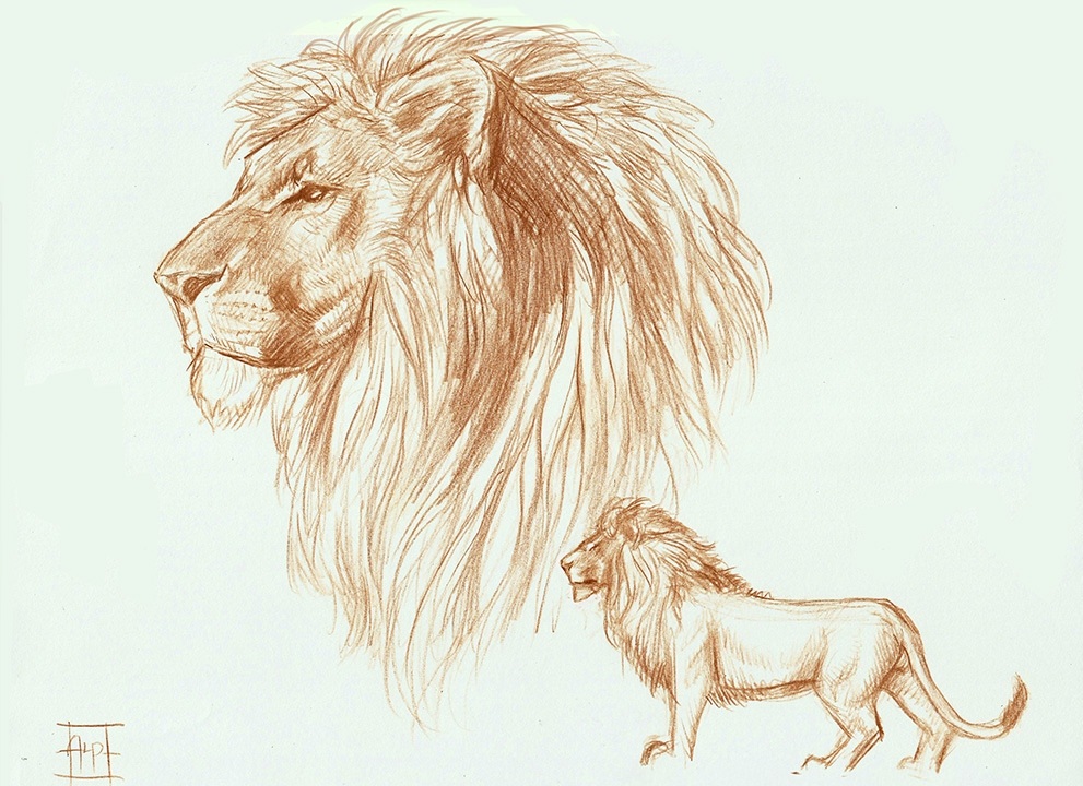Рисунки Льва
