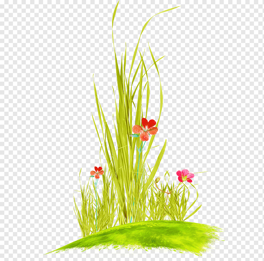 Трава нарисованная для детей. Трава рисунок. Трава нарисованная. Трава вектор. Нарисованная трава на прозрачном фоне.