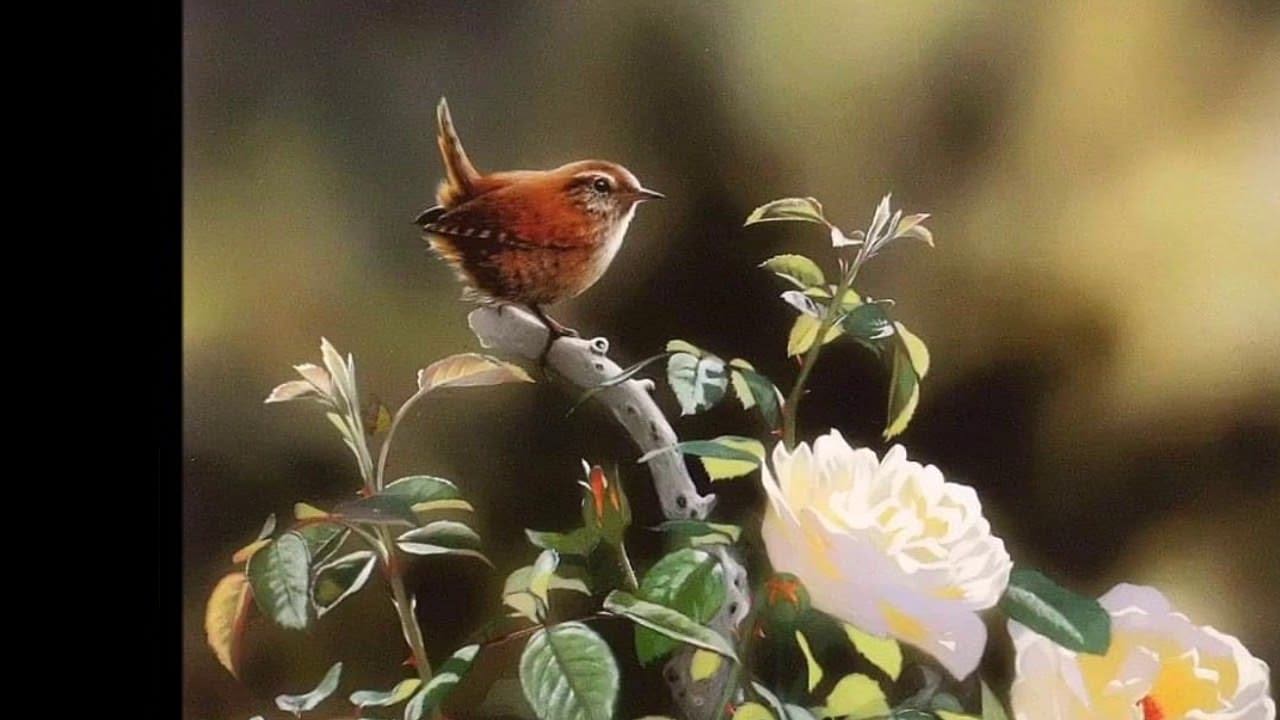 Род произведений гамзатова песня соловья. Художница Julia Hargreaves. Соловей живопись. Живопись цветы и птицы.
