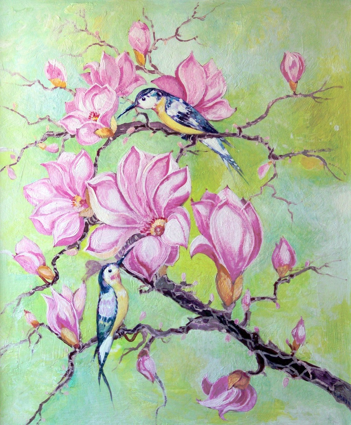 Картины птички с цветами. Китайская Магнолия. Батик Колибри. Магнолия гохуа. Китайская живопись батик.