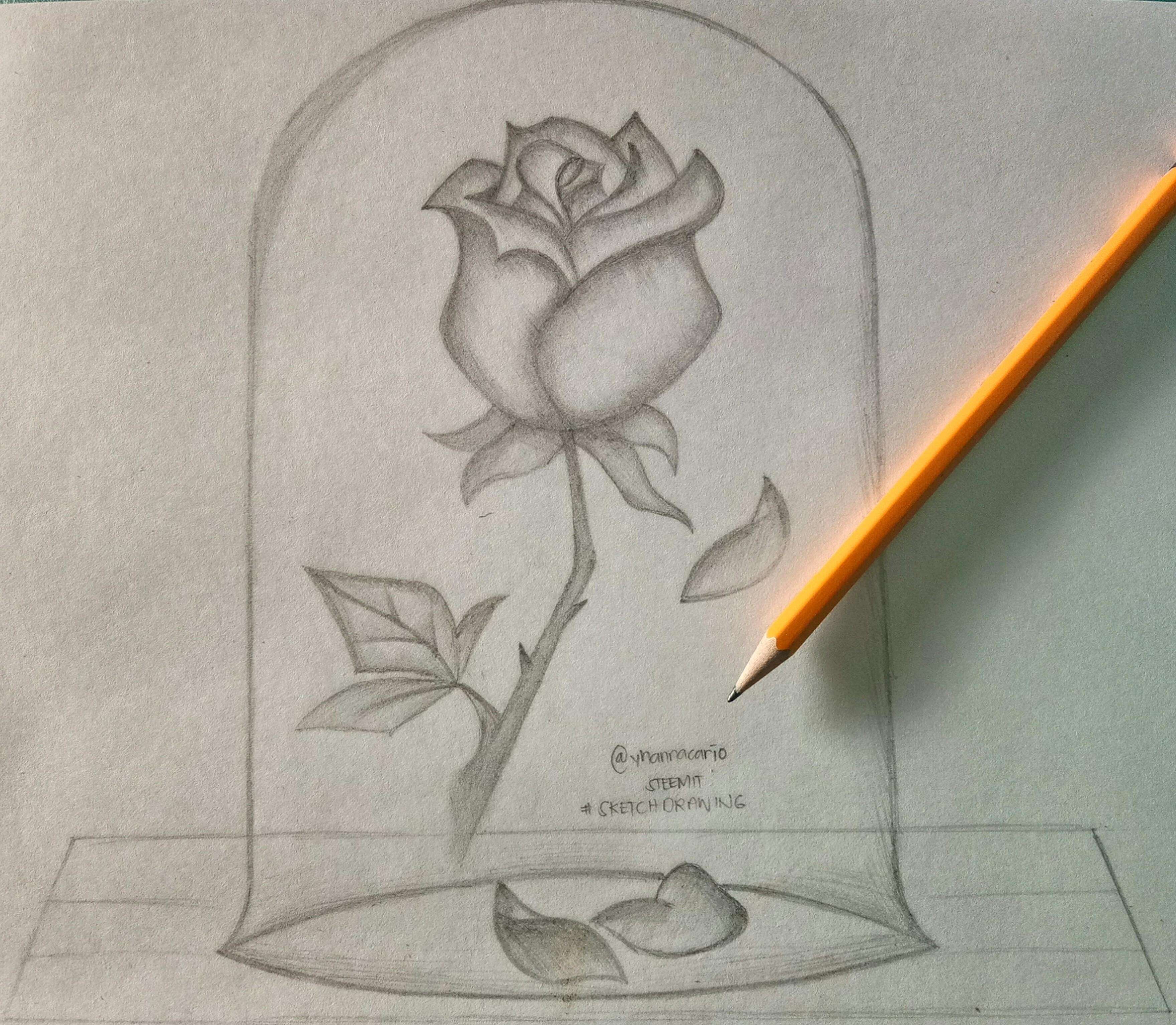 Роза в огне рисунок