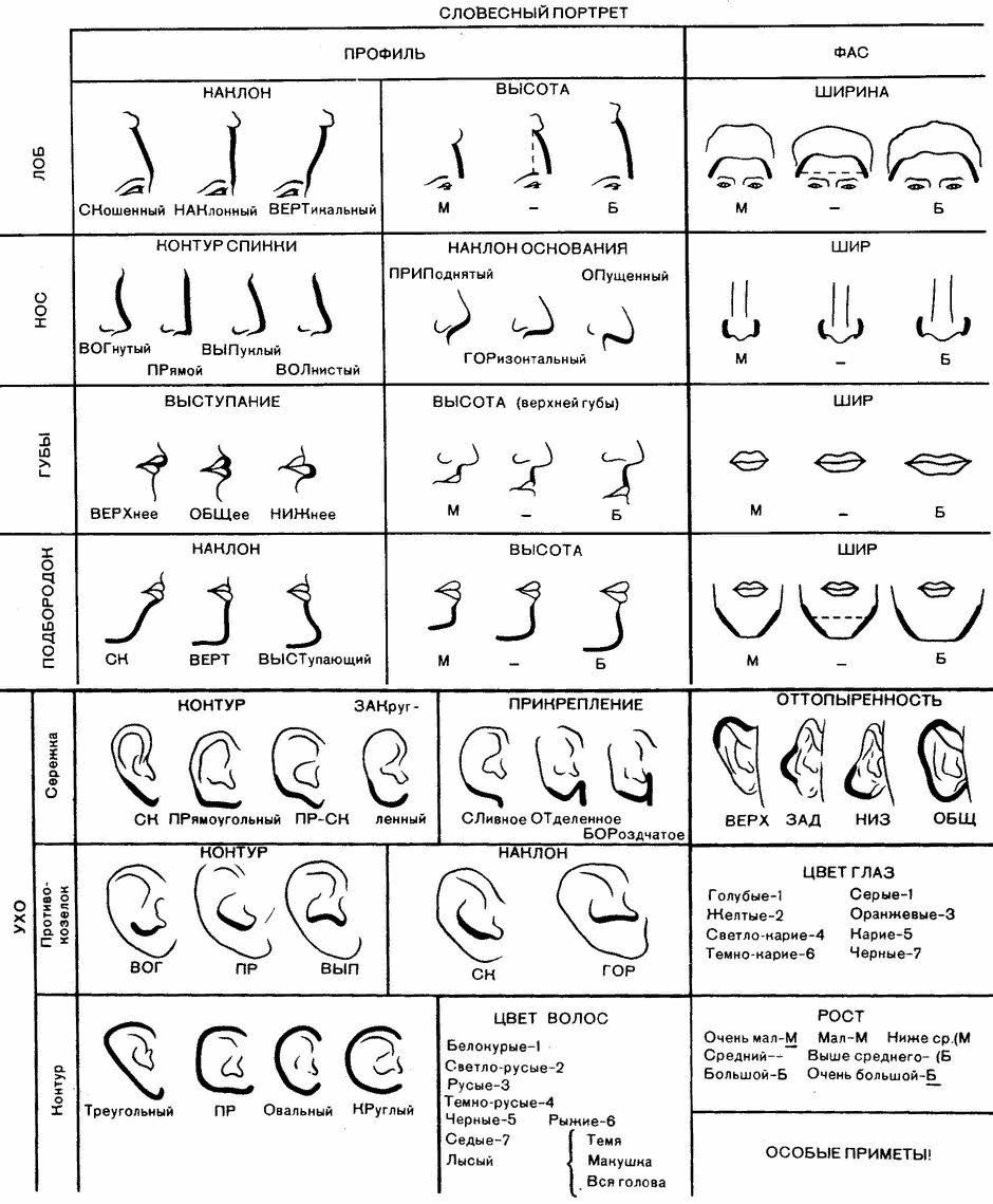 Система внешних признаков человека. Методика составления словесного портрета криминалистика. Словесный портрет человека криминалистика. Схема описания внешности человека по методу словесного портрета. Описание лица человека криминалистика.