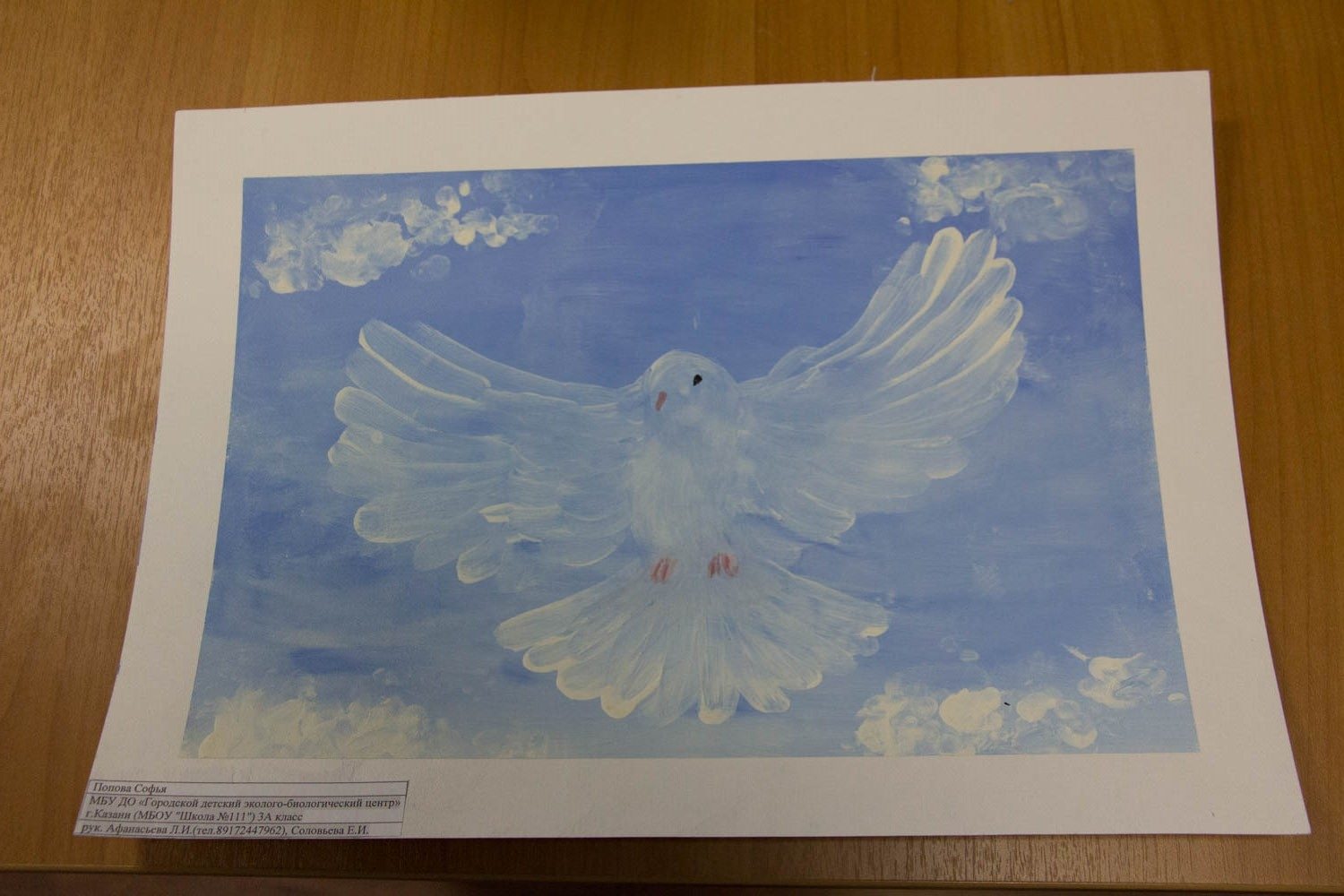 Песня мы рисуем голубей. Рисование голубя гуашью. Белый голубь гуашью.
