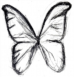 Бабочка рисунок скетч