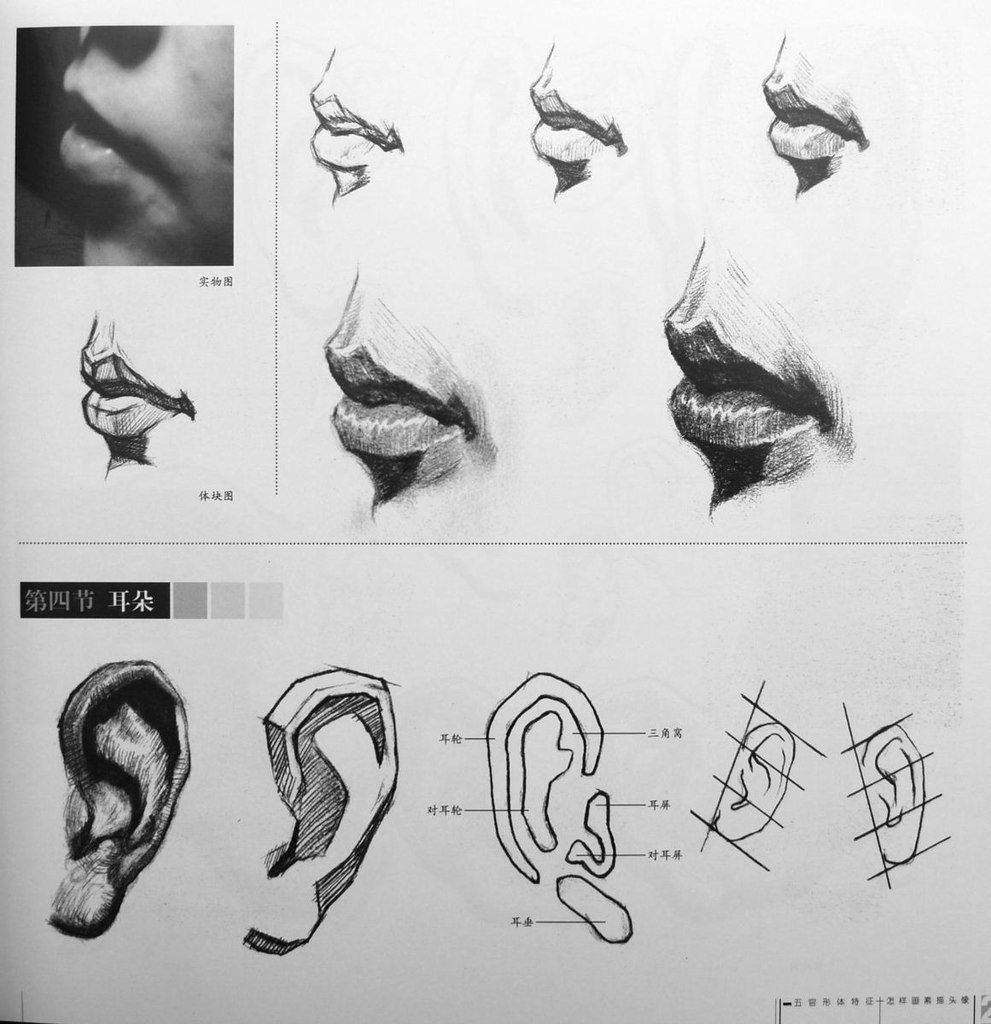 Уши губы. Зарисовки частей лица в различных ракурсах. Ухо в разных ракурсах рисунок. Ухо с разных ракурсов. Эскизы частей лица.