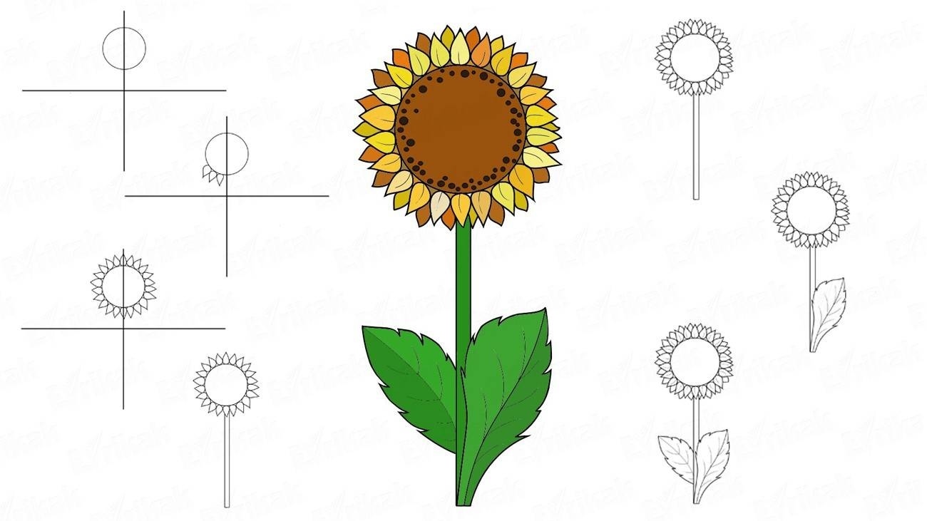 Как рисовать подсолнухи поэтапно