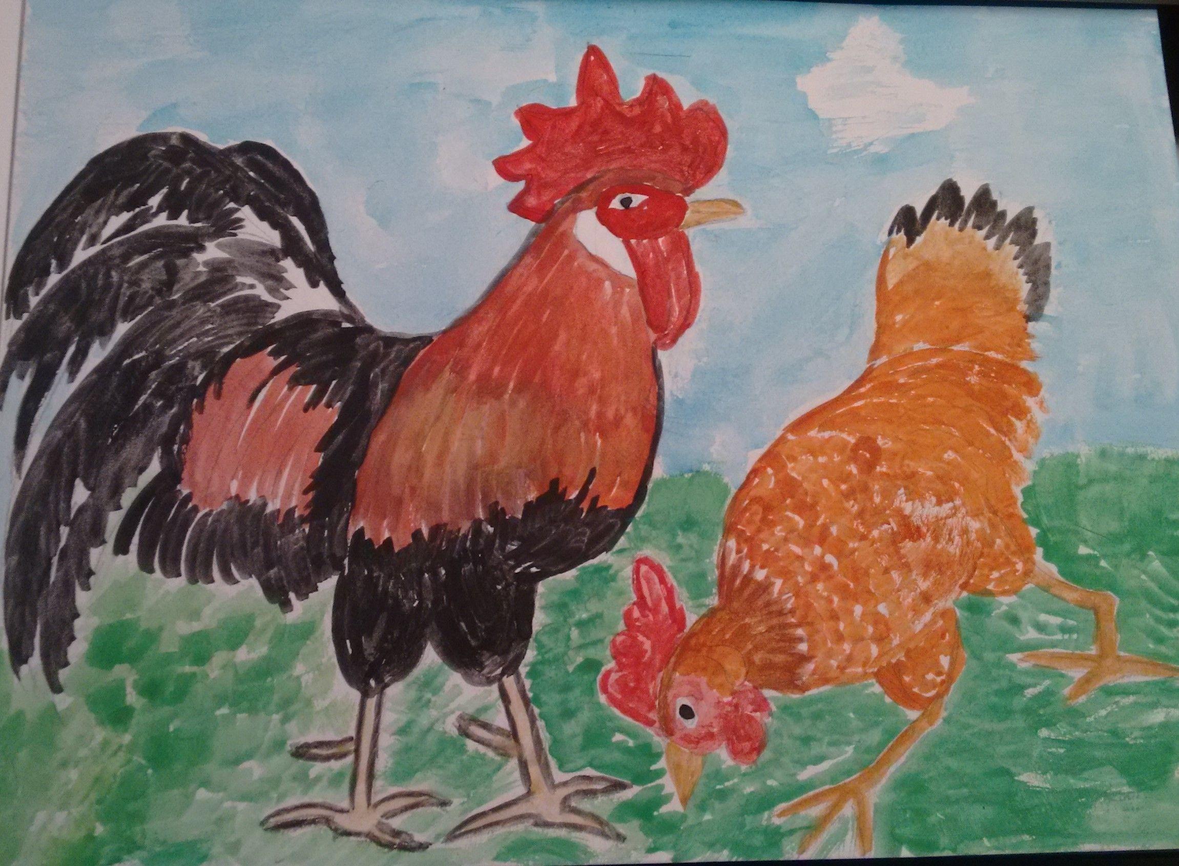 Сен санс курица. Ушинский к. "петушок с семьёй". Рисование петушок. Рисование петушок с семьей. Рисование для детей петуха.