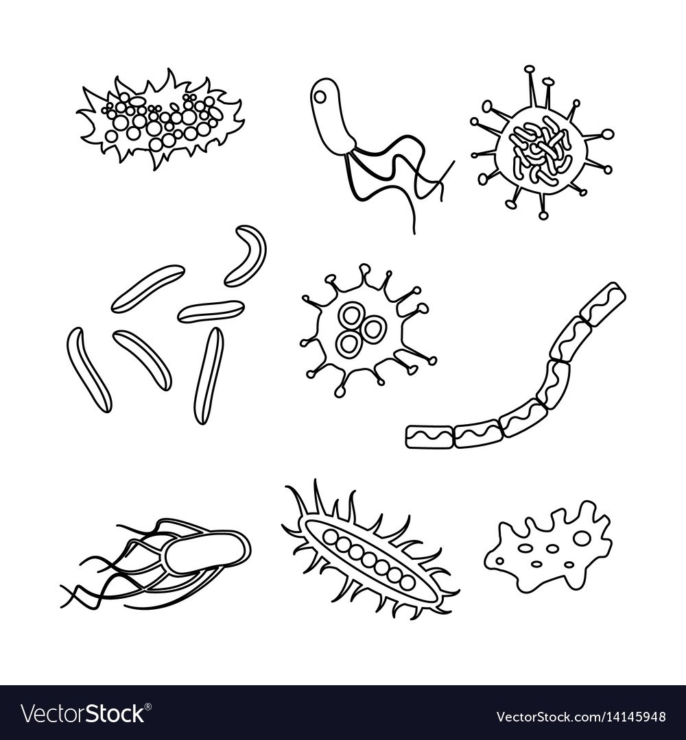 Микробы рисунок карандашом