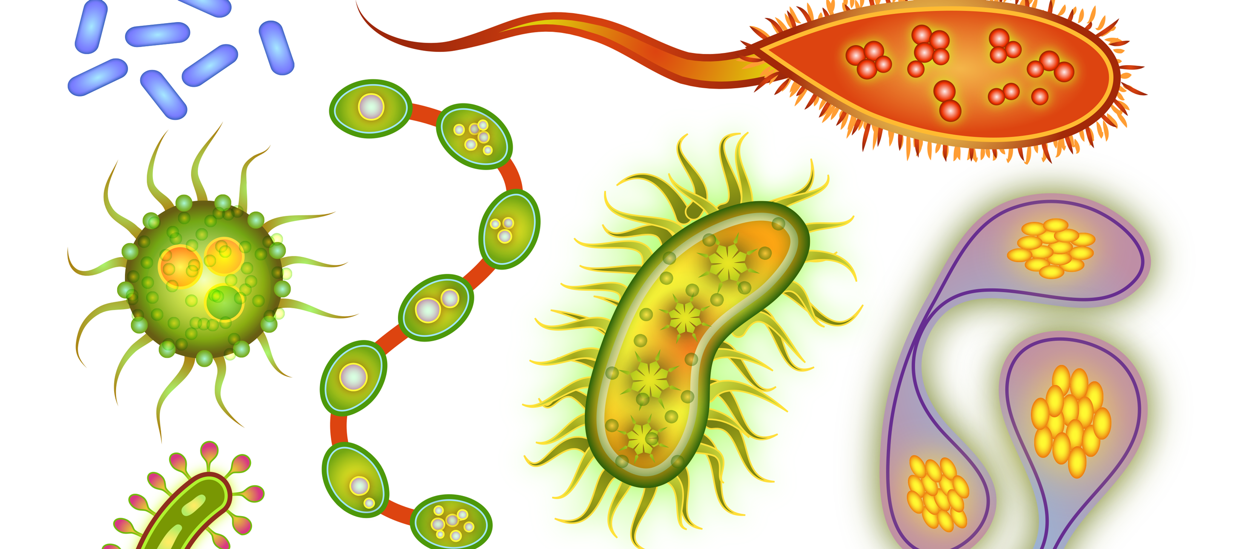 Объект изображенный на рисунках вызывает инфекционное заболевание. Микроорганизмы для детей. Вирусы бактерии микробы. Вирусы и бактерии для детей. Бактерии рисунок.