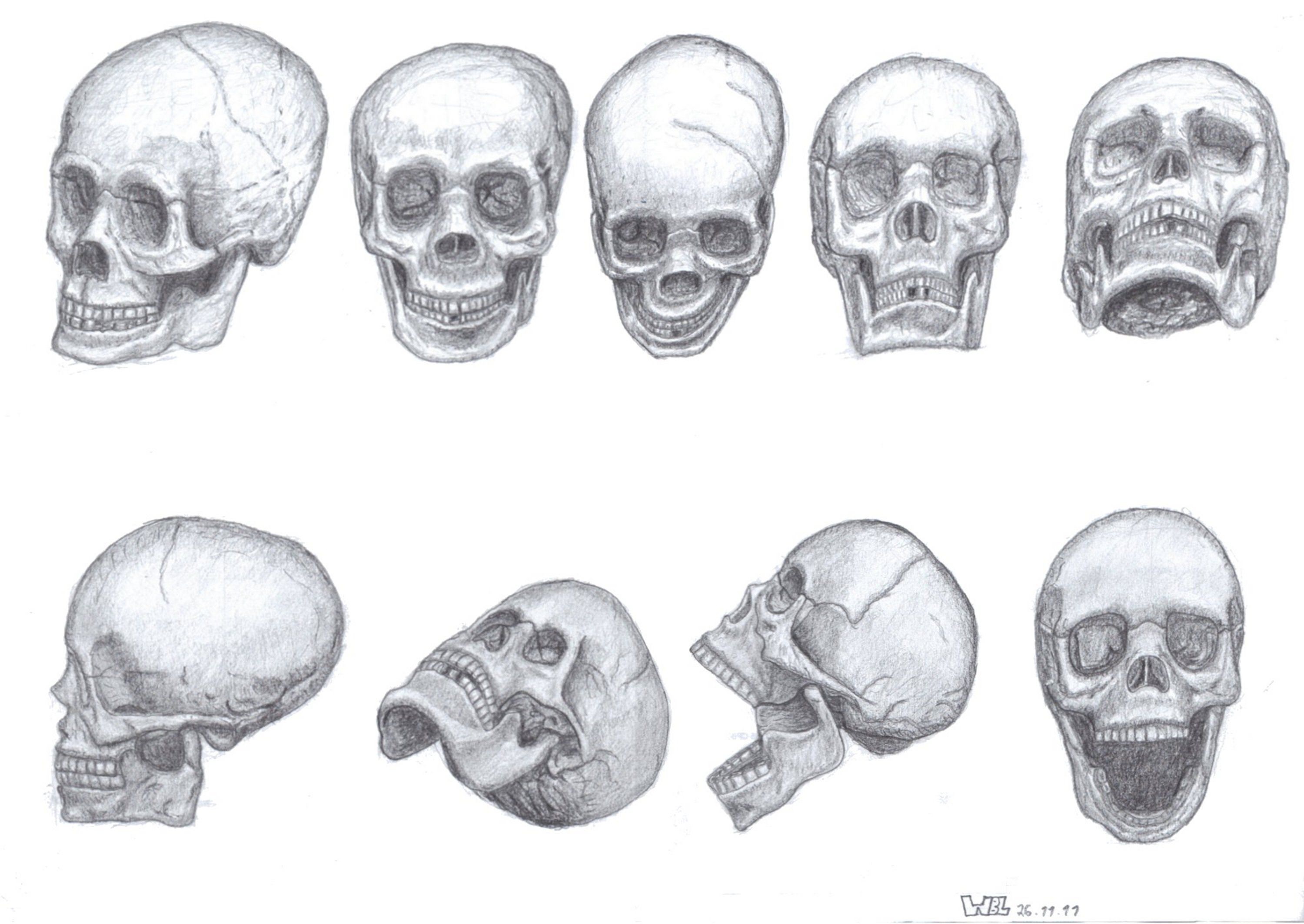 Рисунок черепа карандашом поэтапно