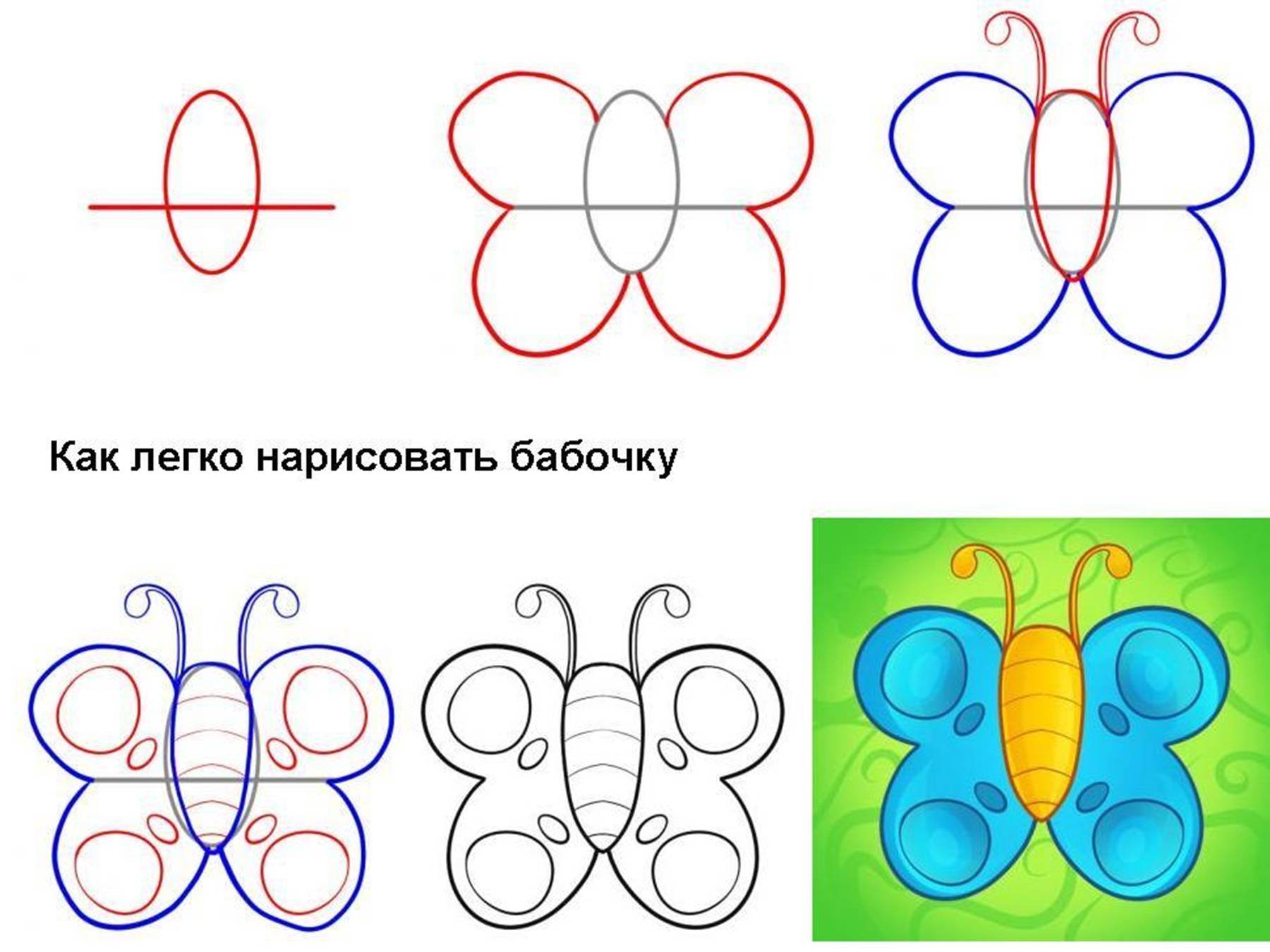 Урок рисования 8 лет. Как нарисовать бабочку поэтапно. Поэтапное рисование бабочки. Рисуем бабочку поэтапно. Как нарисовать бабочку легко.