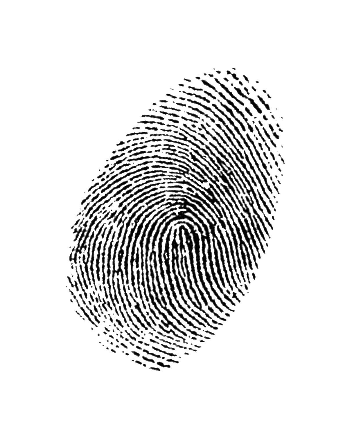 Hardware fingerprint