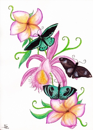 Цветные рисунки цветов и бабочек