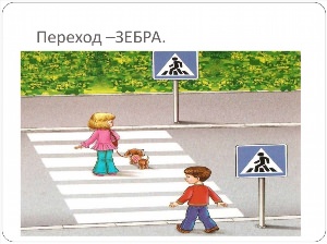 Зебра пешеходный переход картинки для детей