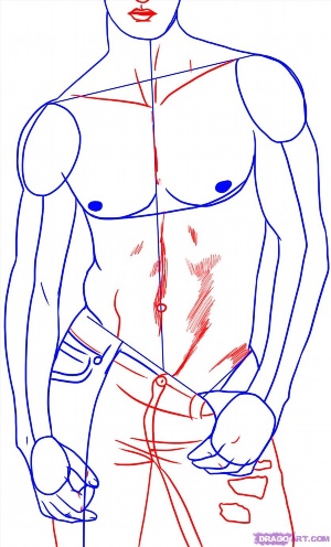 Как нарисовать тело мужчины