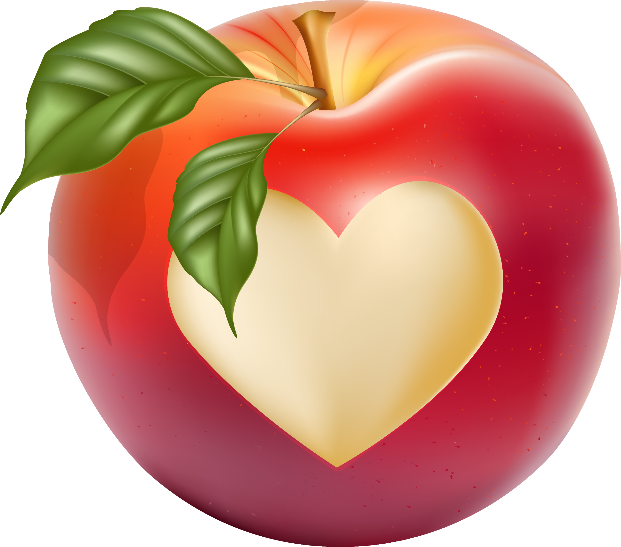 Яблоко нарисованное. Векторное яблоко. Яблоко любви. Яблоко сердце. Яблоко с сердечком.