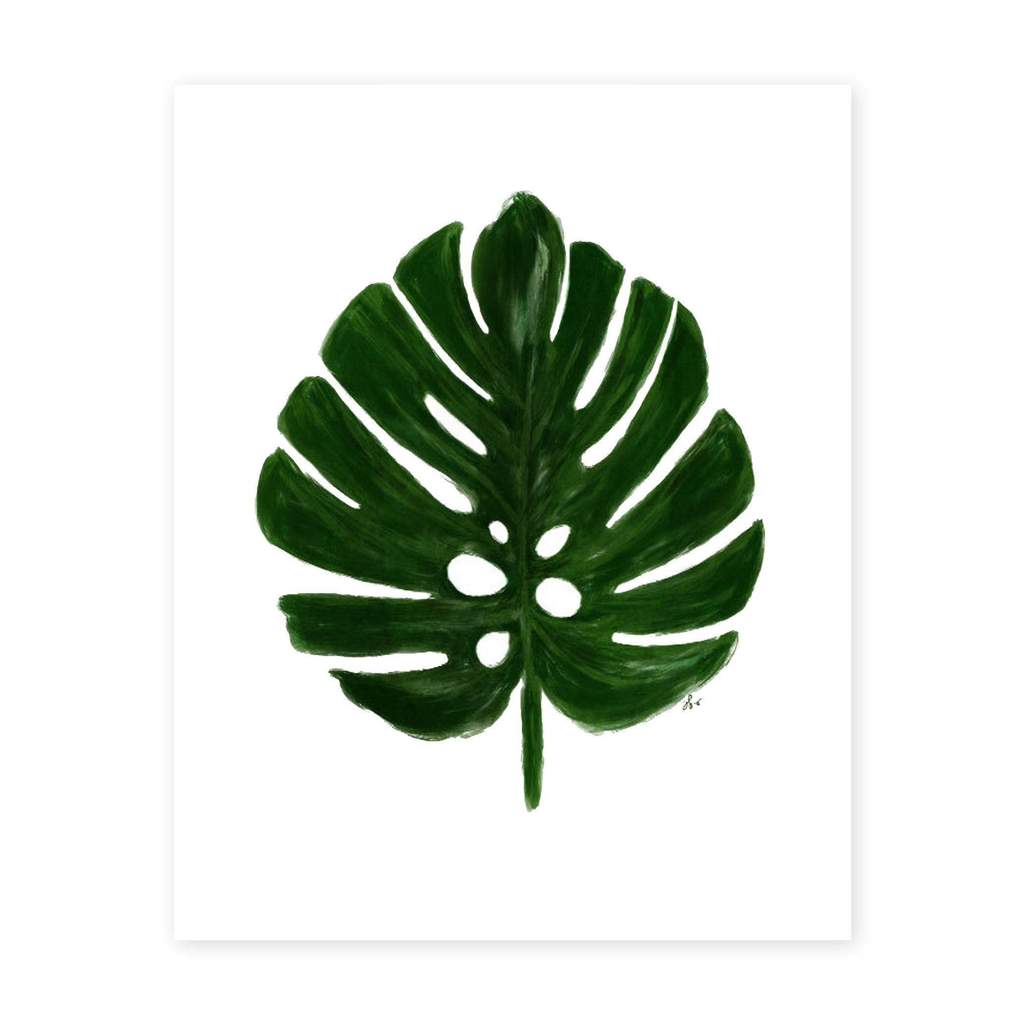Монстера край листа. Тропические листья СВГ. Monstera Leaf контур. Монстера трафарет. Тропические листья для плоттера.