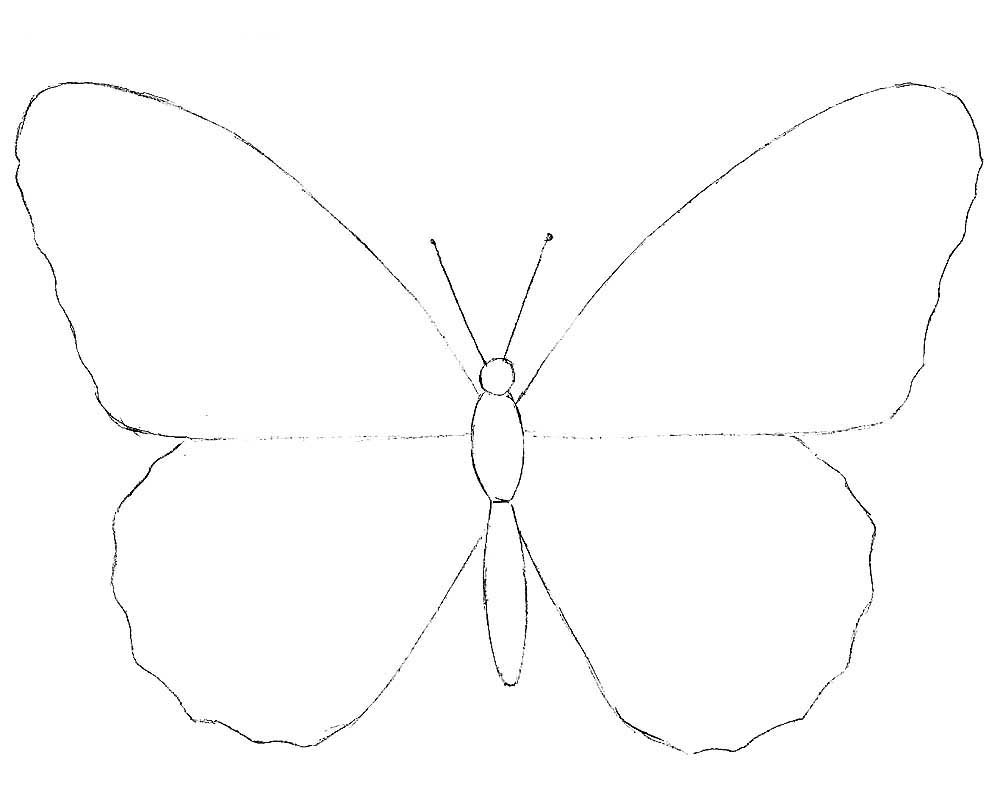 Как нарисовать бабочку для детей 5 лет карандашом