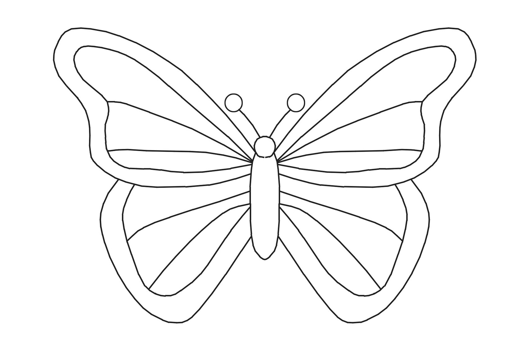 Бабочка контур картинки для детей