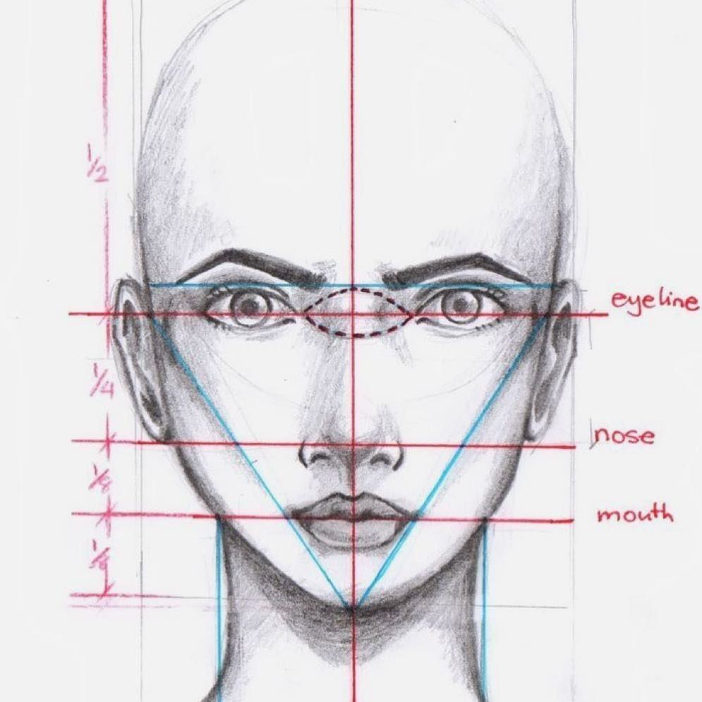 Лицо пропорции как рисовать