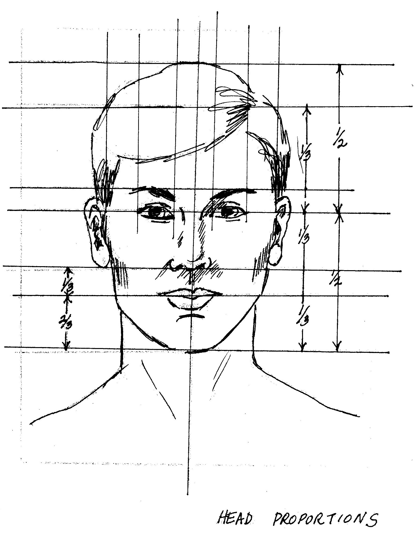 Пропорции лица человека при рисовании портрета схема