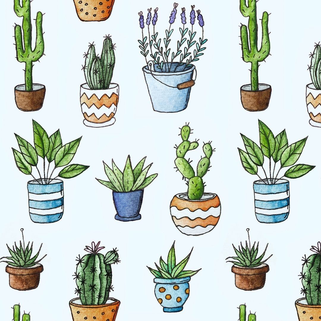 Маленькие растения рисунки. Скетчи растений. Растения в горшках для скетчбука. Нарисовать растение в горшке. Рисунки для срисовки растения.