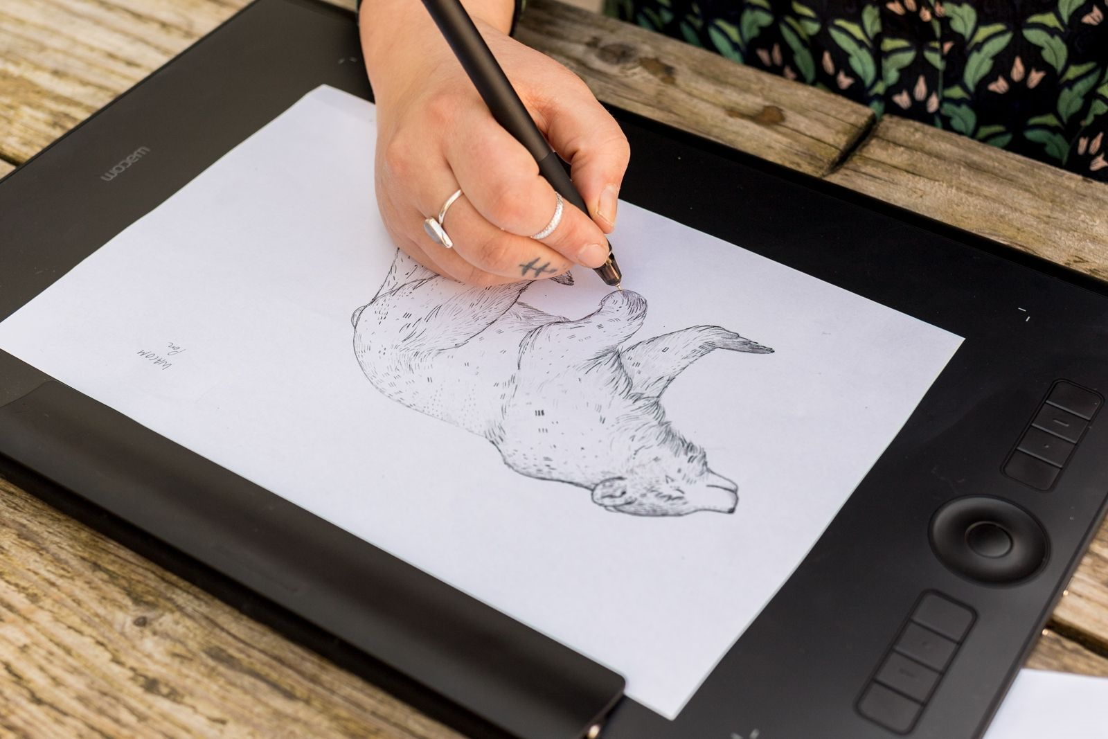 Wacom программы для рисования. Графический планшет для начинающих. Рисование на планшете для начинающих. Графический планшет для иллюстратора. Планшет для рисования для начинающих художников.