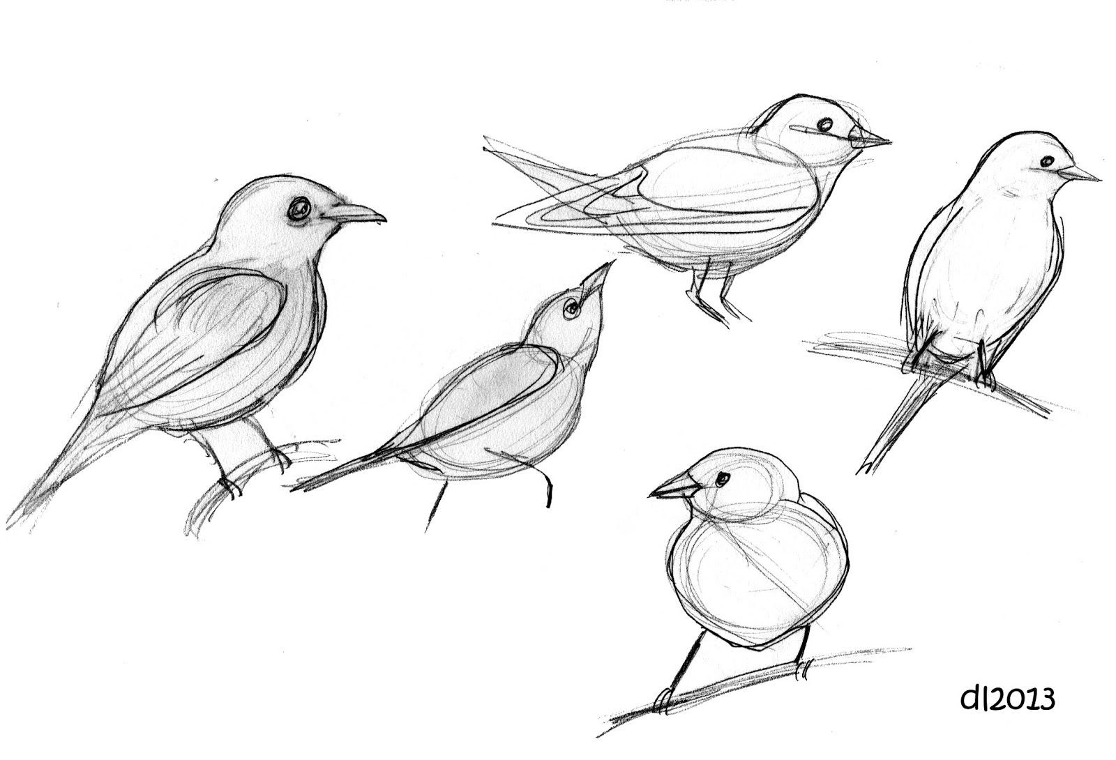 Рисунок птиц карандашом легкие. Зарисовки птиц. Наброски птиц. Наброски и зарисовки птиц. Птица рисунок.