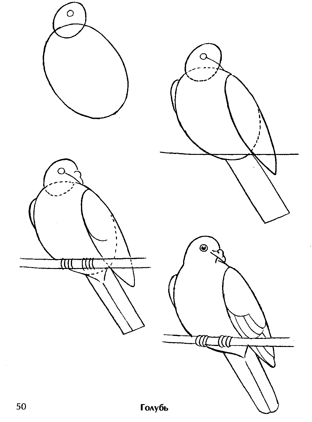 Рисуем птиц 2 класс