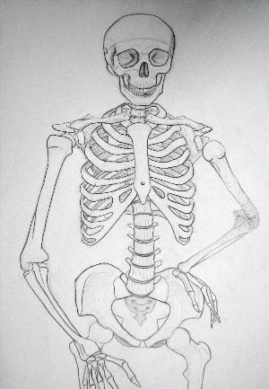 Скелет поэтапно