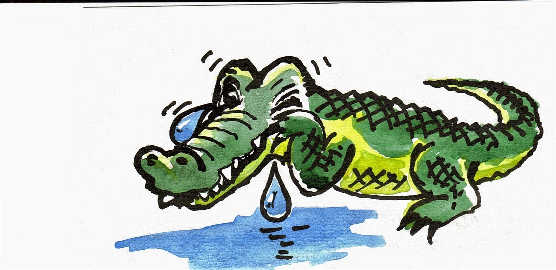 Выражение крокодильи слезы