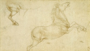 Леонардо да Винчи зарисовки животных