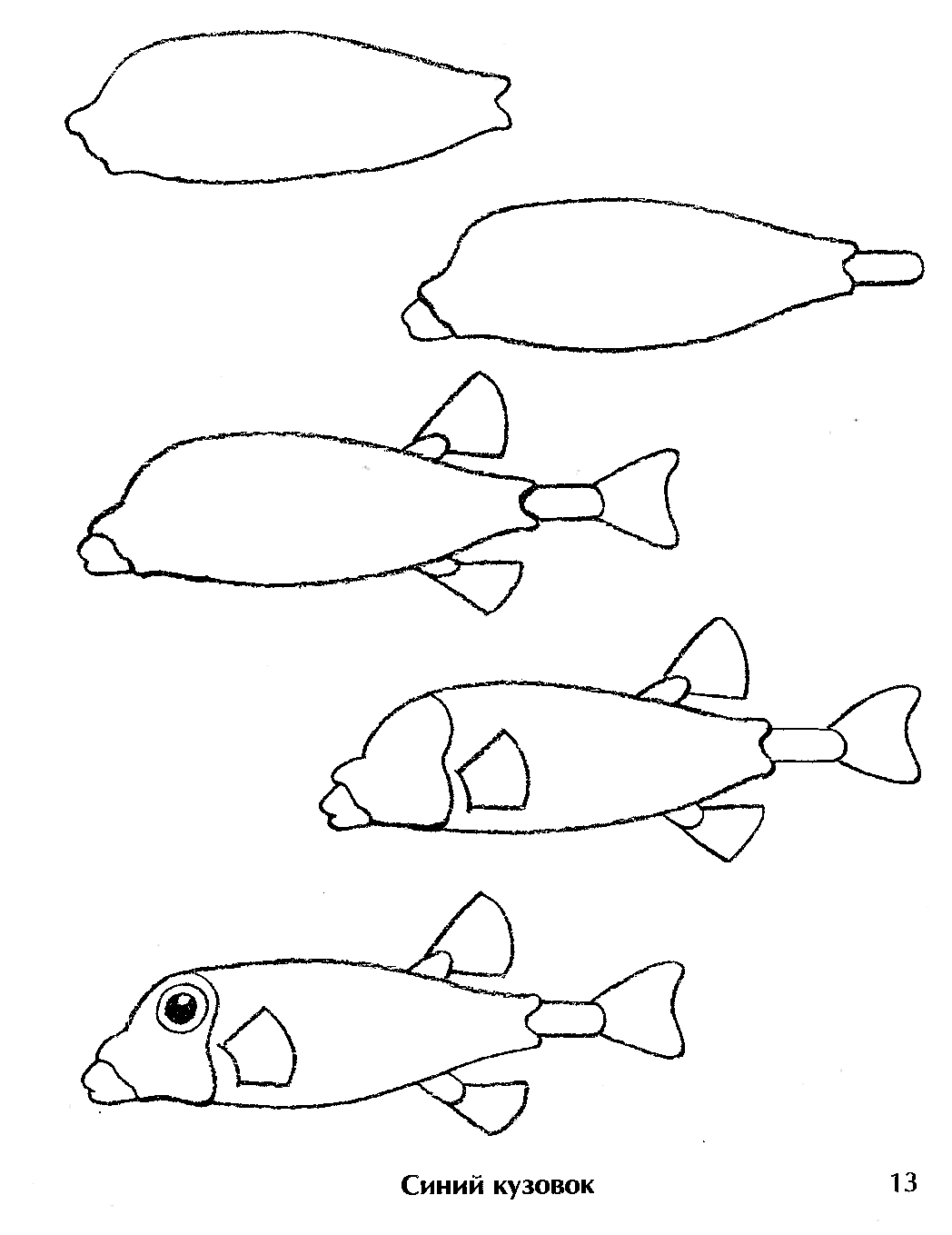 Как рыбу рисовать поэтапно