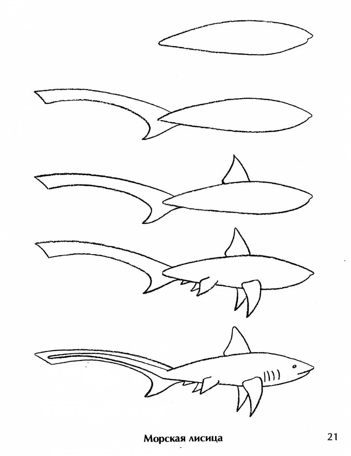 Нарисовать рисунок акула. Акула рисунок. Акула карандашом. Поэтапное рисование акулы для детей. Акула рисунок для детей.