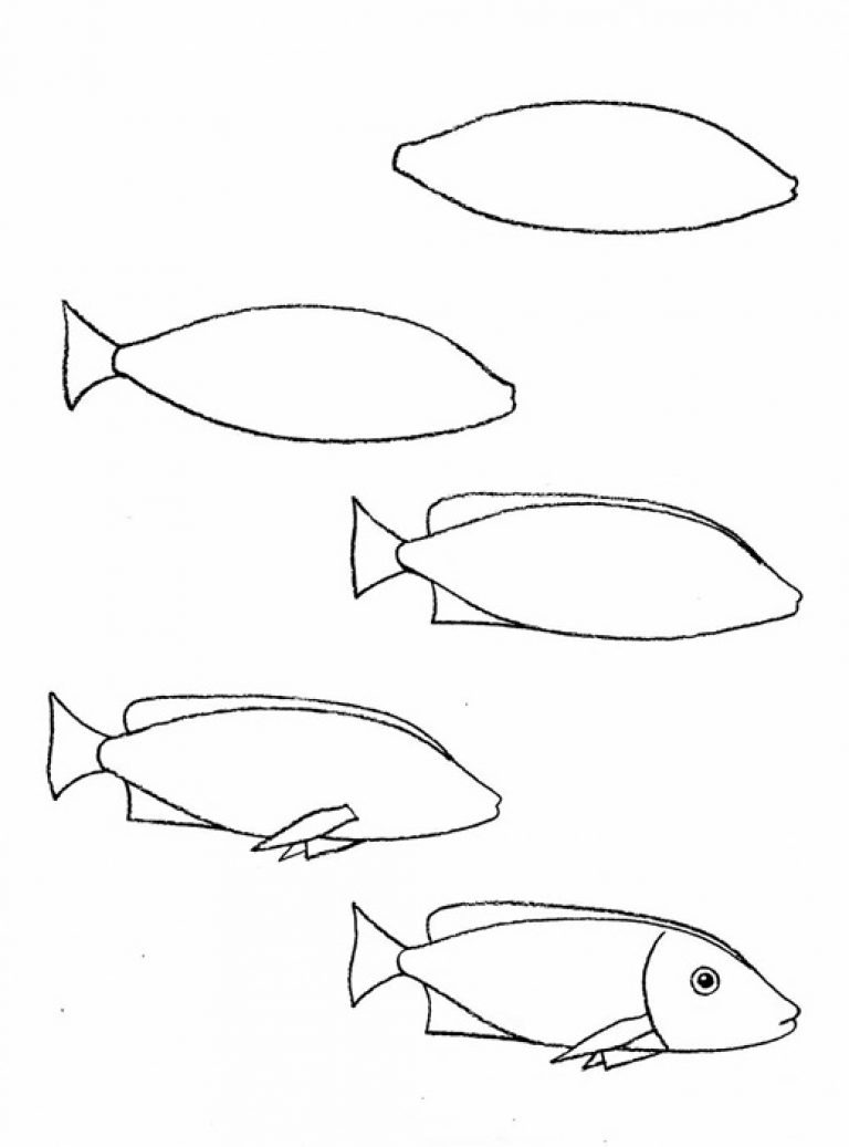 Поэтапный рисунок рыба