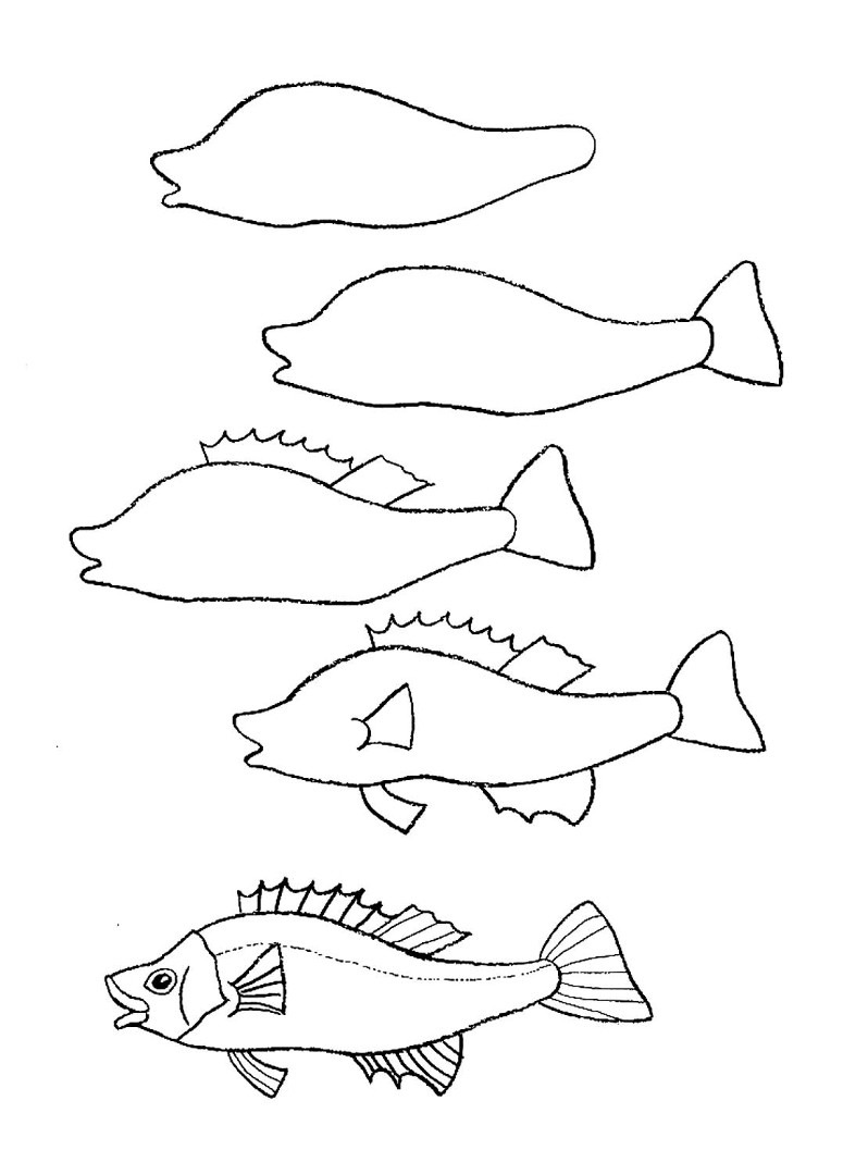 Как быстро нарисовать рыбу