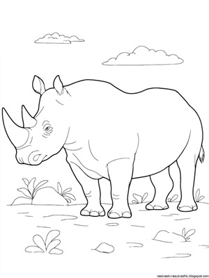 Носорог рисунок карандашом для детей