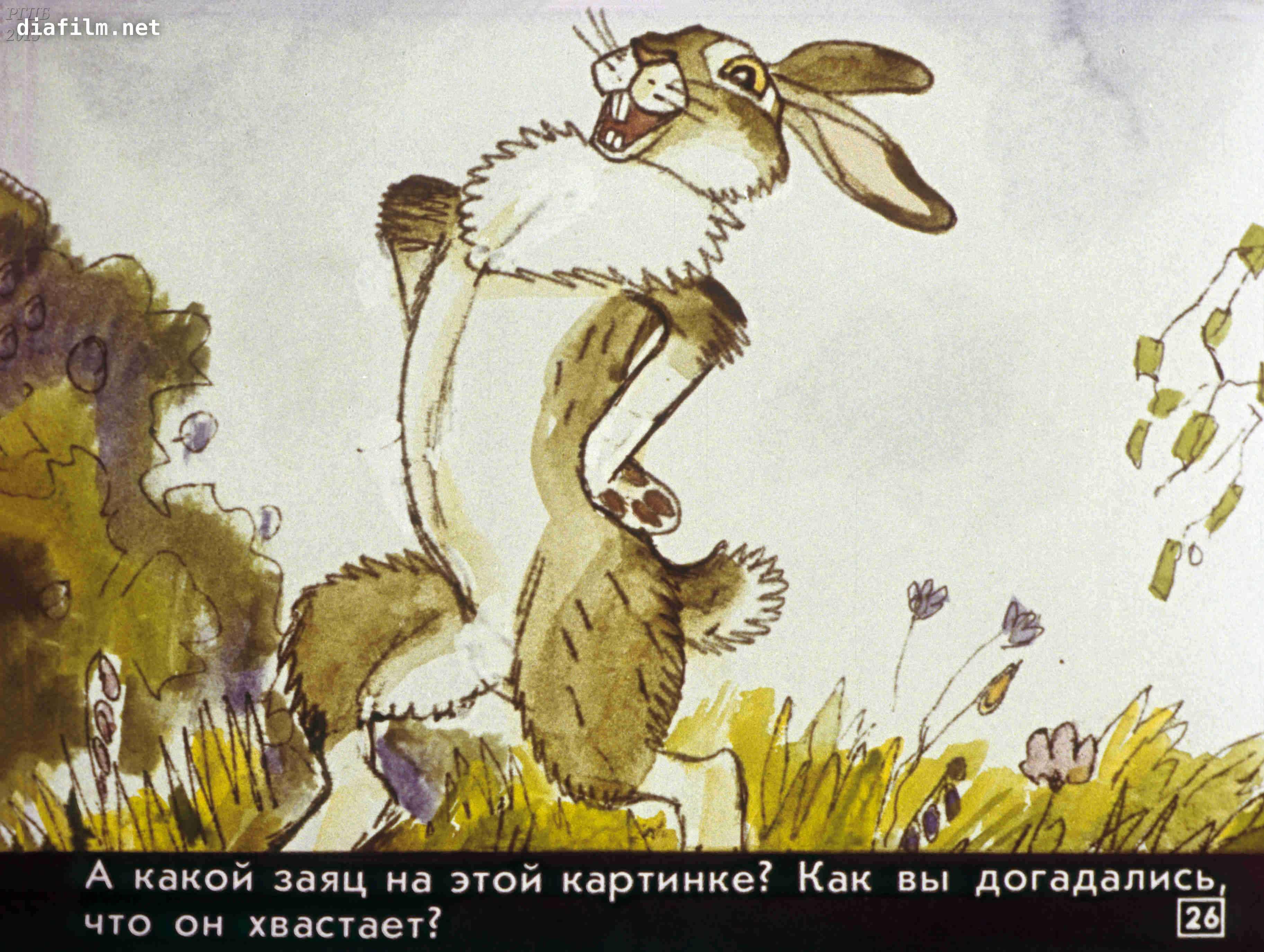 Благодарный заяц. Храбрый заяц мамин Сибиряк. Мамин Сибиряк хвастливый заяц. М Сибиряк сказка про храброго зайца.