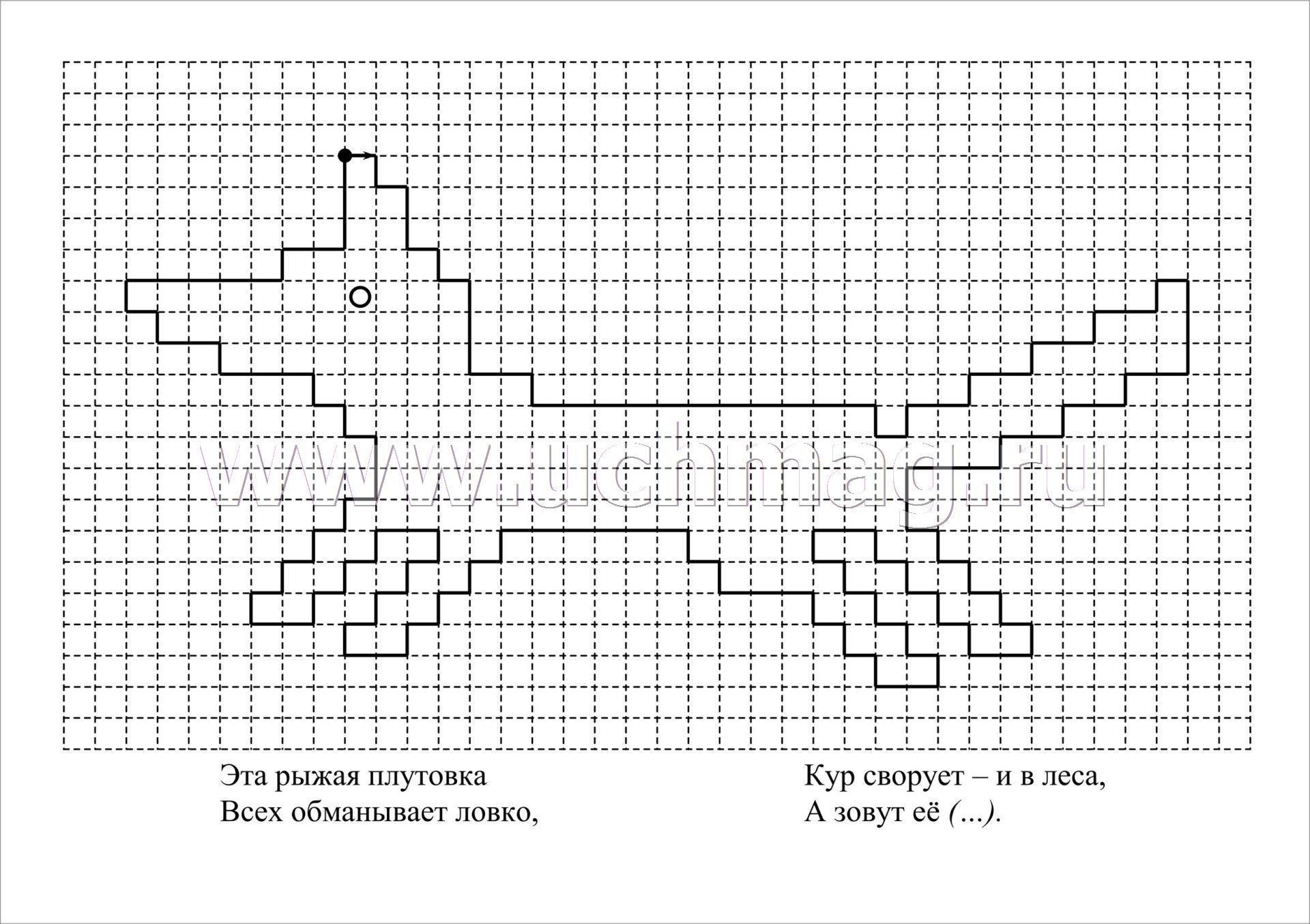Рисунок по направлению стрелок. Графический диктант для дошкольников Лисичка. Графический диктант для дошкольников. Рисование по клеточкам для детей. Рисунок по клеткам графический.