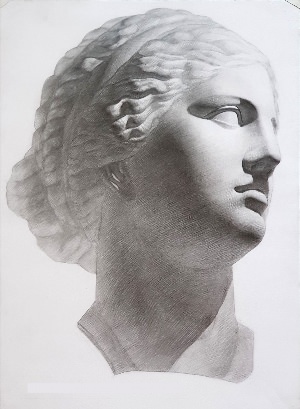 Венера гипсовая голова рисунок