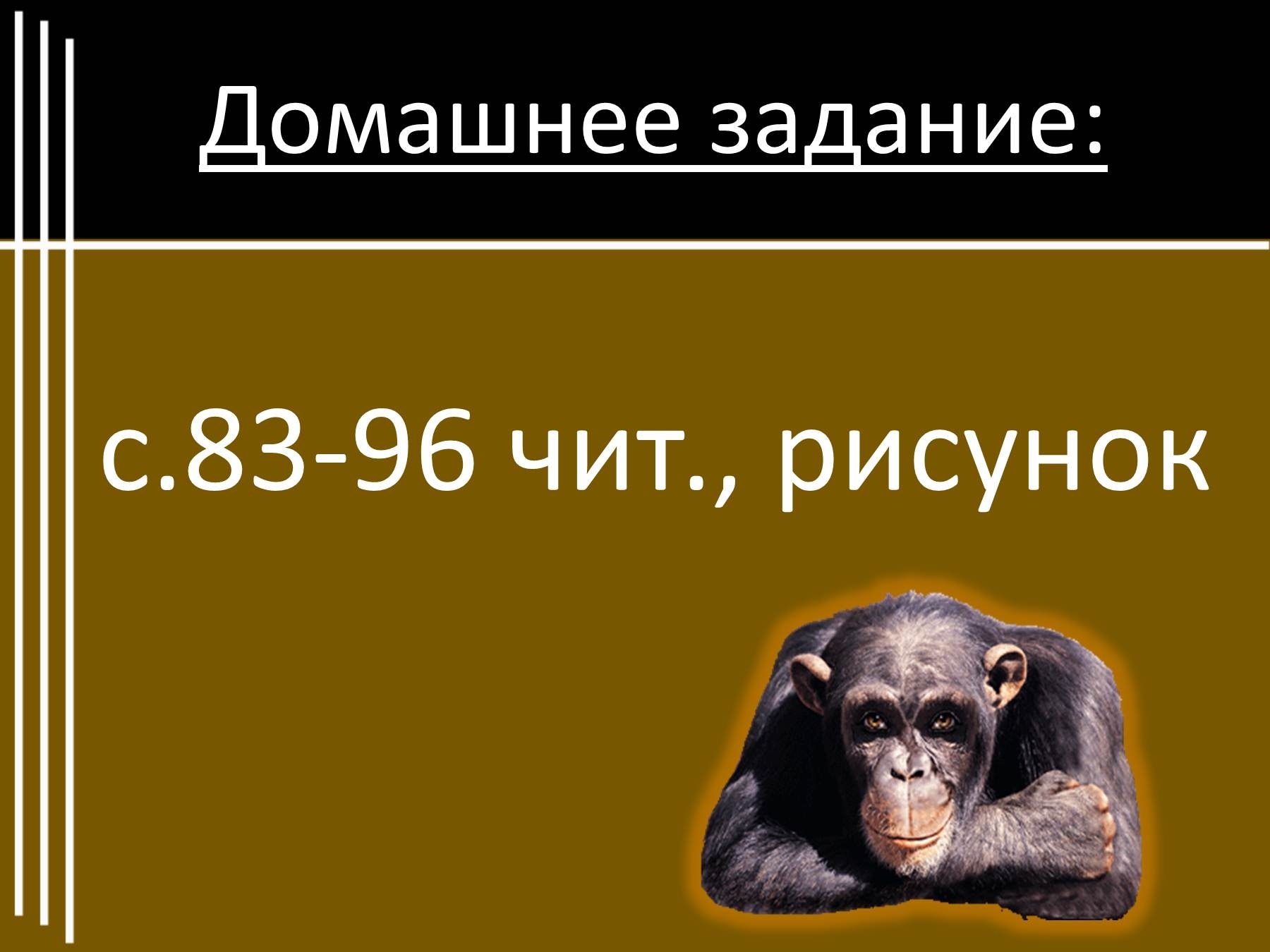 Проверочная работа житков про обезьянку 3 класс. Житков про обезьянку. Б Житкова про обезьянку. Про обезьянку 3 класс. План про обезьянку 3 класс.