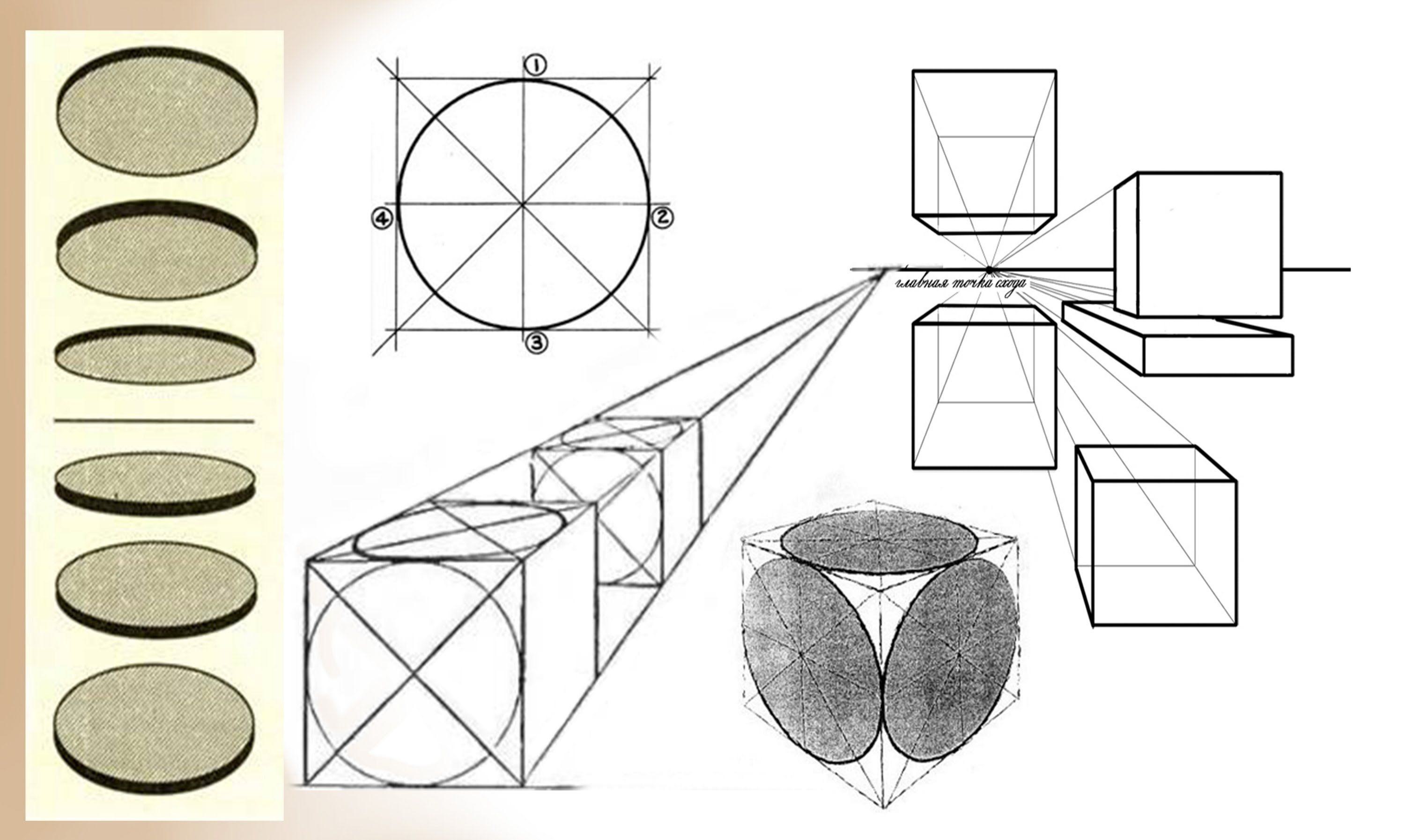Правила и закономерности изображения предметов в пространстве а колорит б перспектива