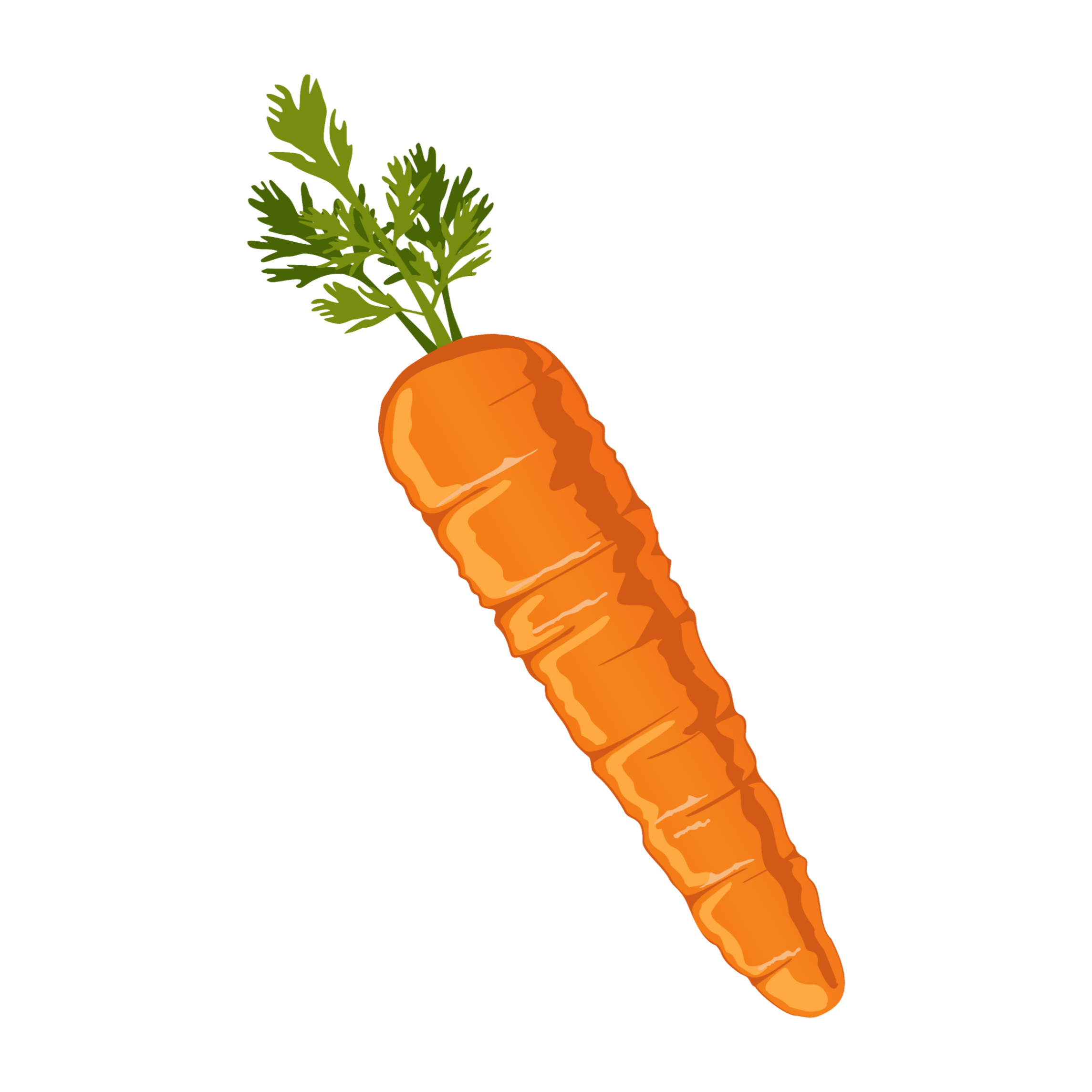 Картинка морковь на прозрачном фоне