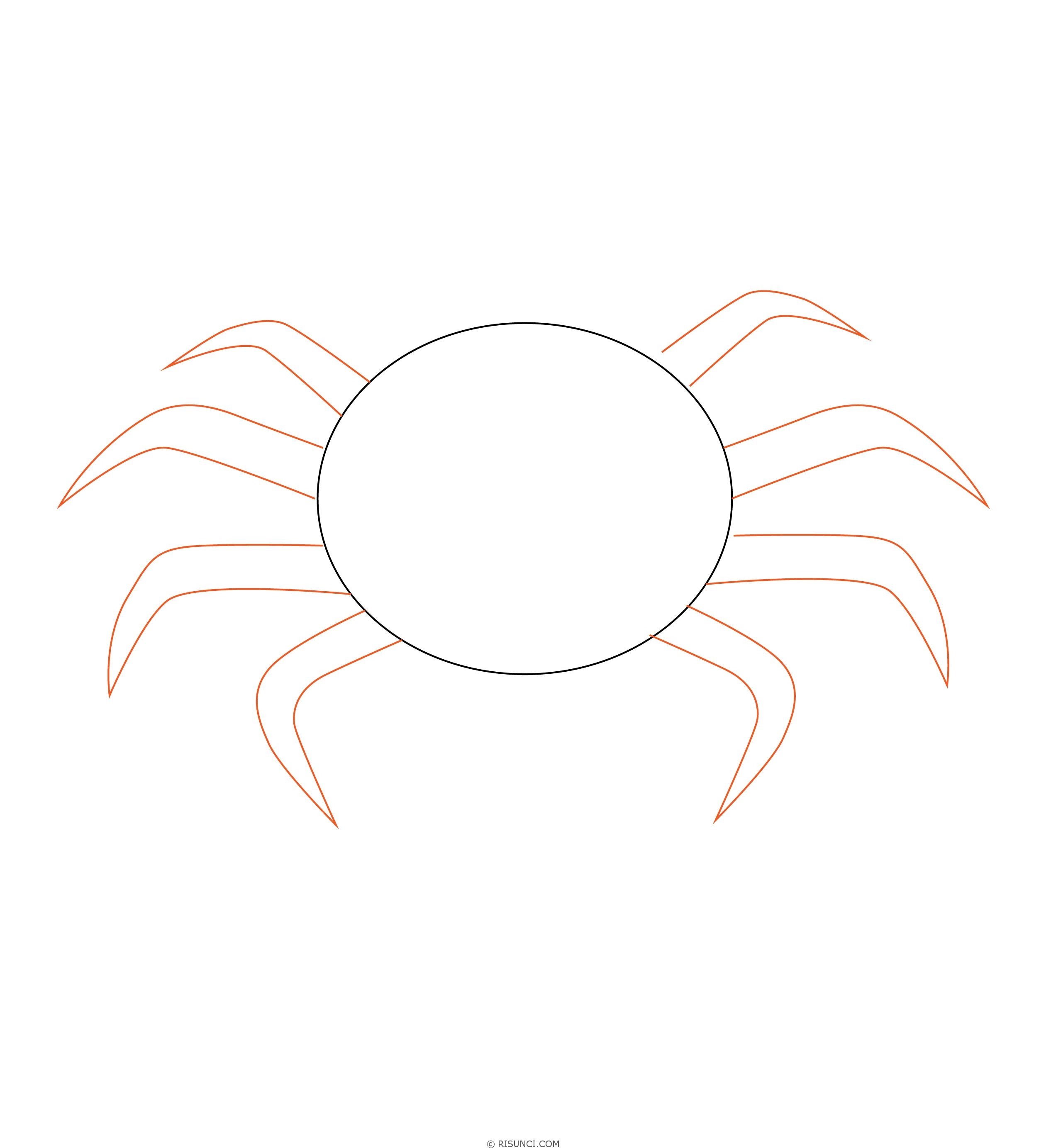 Паук рисунок карандашом простым