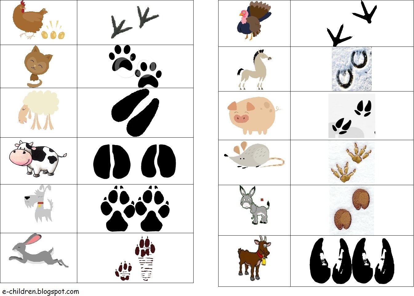 картинки следов животных для детей нарисованные цветные