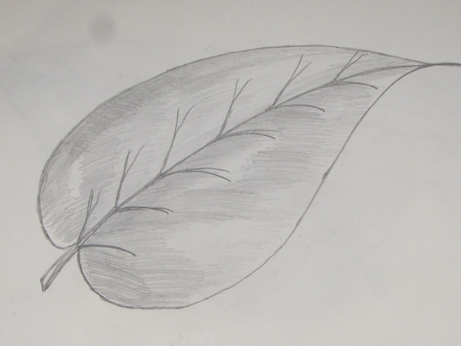 Листья рисовать. Листья карандашом. Рисунок листьев карандашом. Листик карандашом. Рисование листиками.