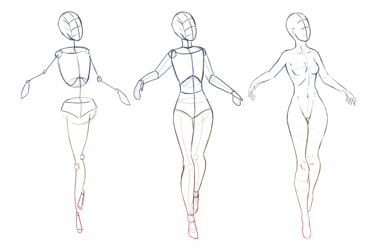 Поэтапно объяснение. Тело рисунок. Анатомия талии для рисования. Анатомия человека для рисования девушка. Рисование фигуры человека поэтапно.