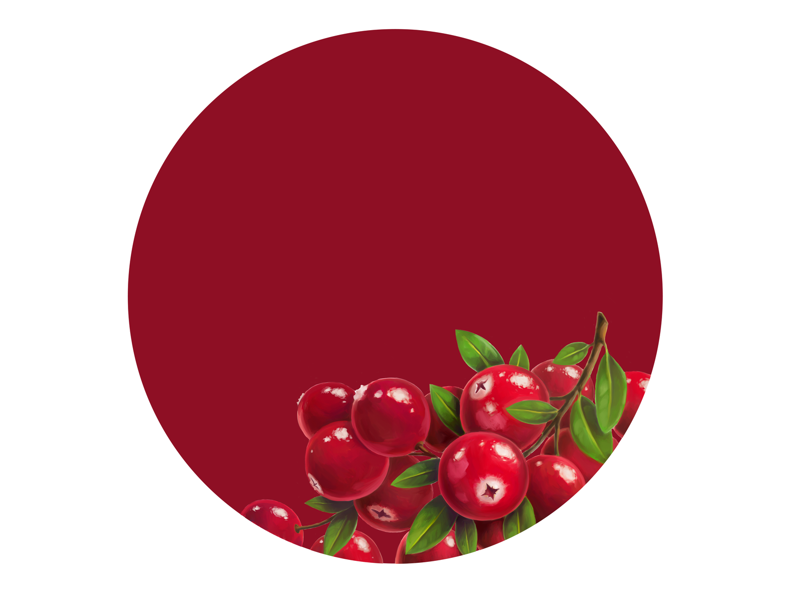 Клюквенный 26. Cowberry брусника. Круглые ягоды. Клюква на белом фоне. Брусника вектор.