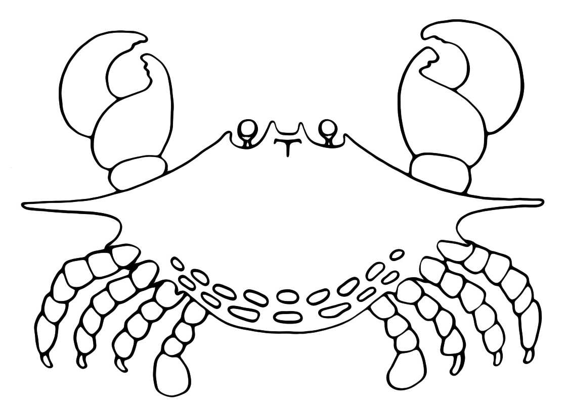Краб рисунок для детей раскраска