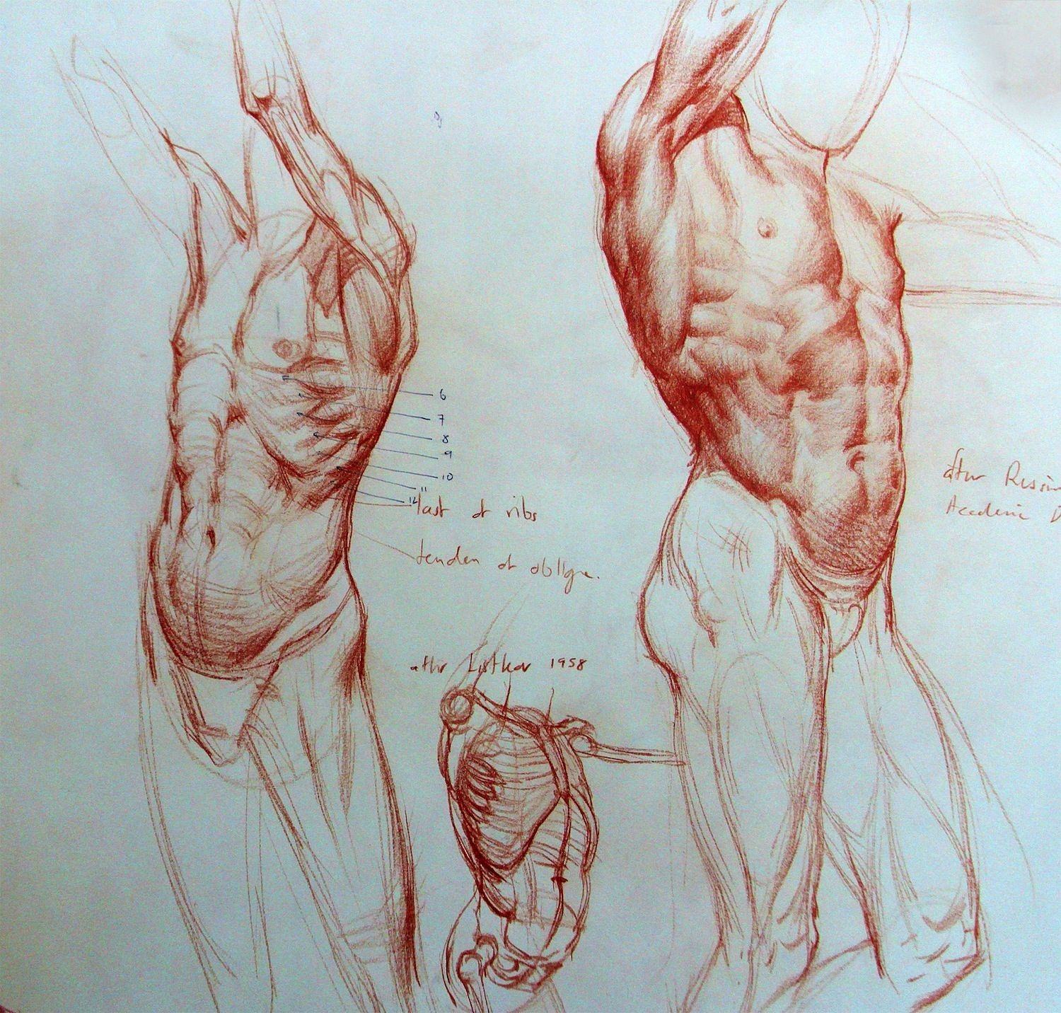 Рисунки рыжкина. Пластическая анатомия Рыжкин.
